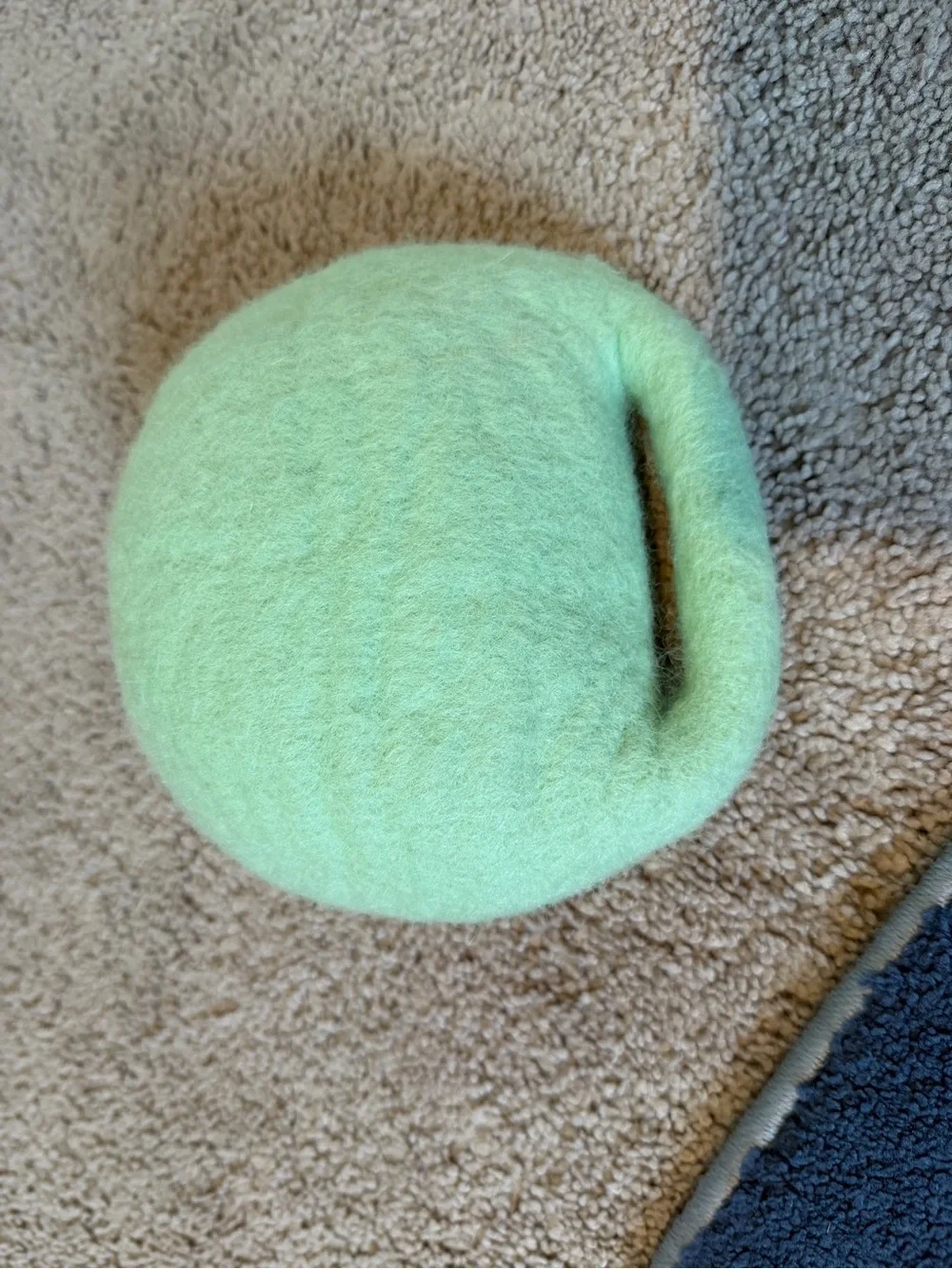 Bunnies in a Felt Burrow